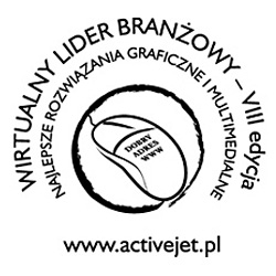 Wirtualny Lider Branżowy 2013